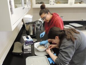 Photograph of two students using a strainer to pick out the small bones from a fish head