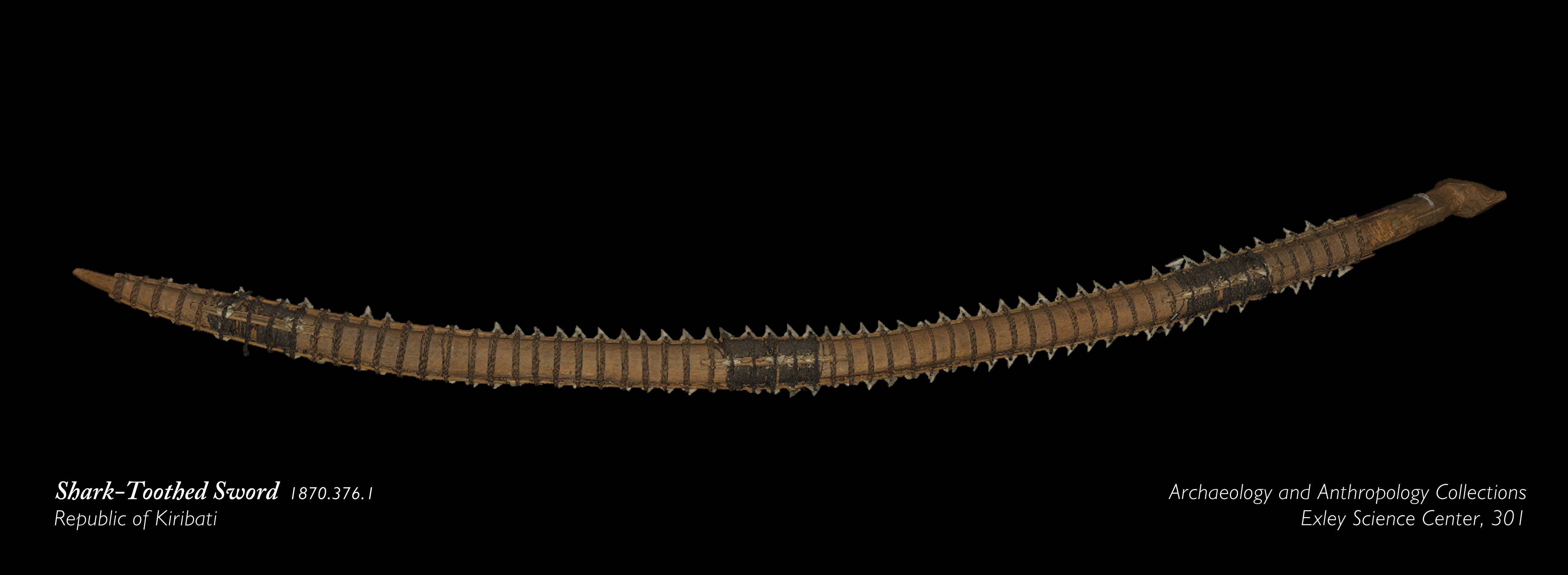 Sharktoothed Sword From Kiribati