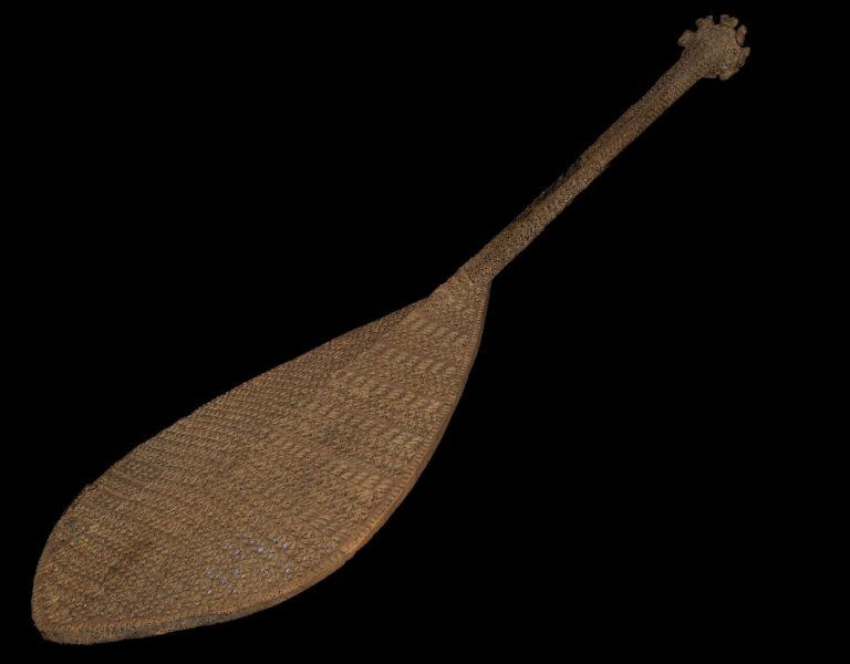 Screenshot of 3D scan of paddle