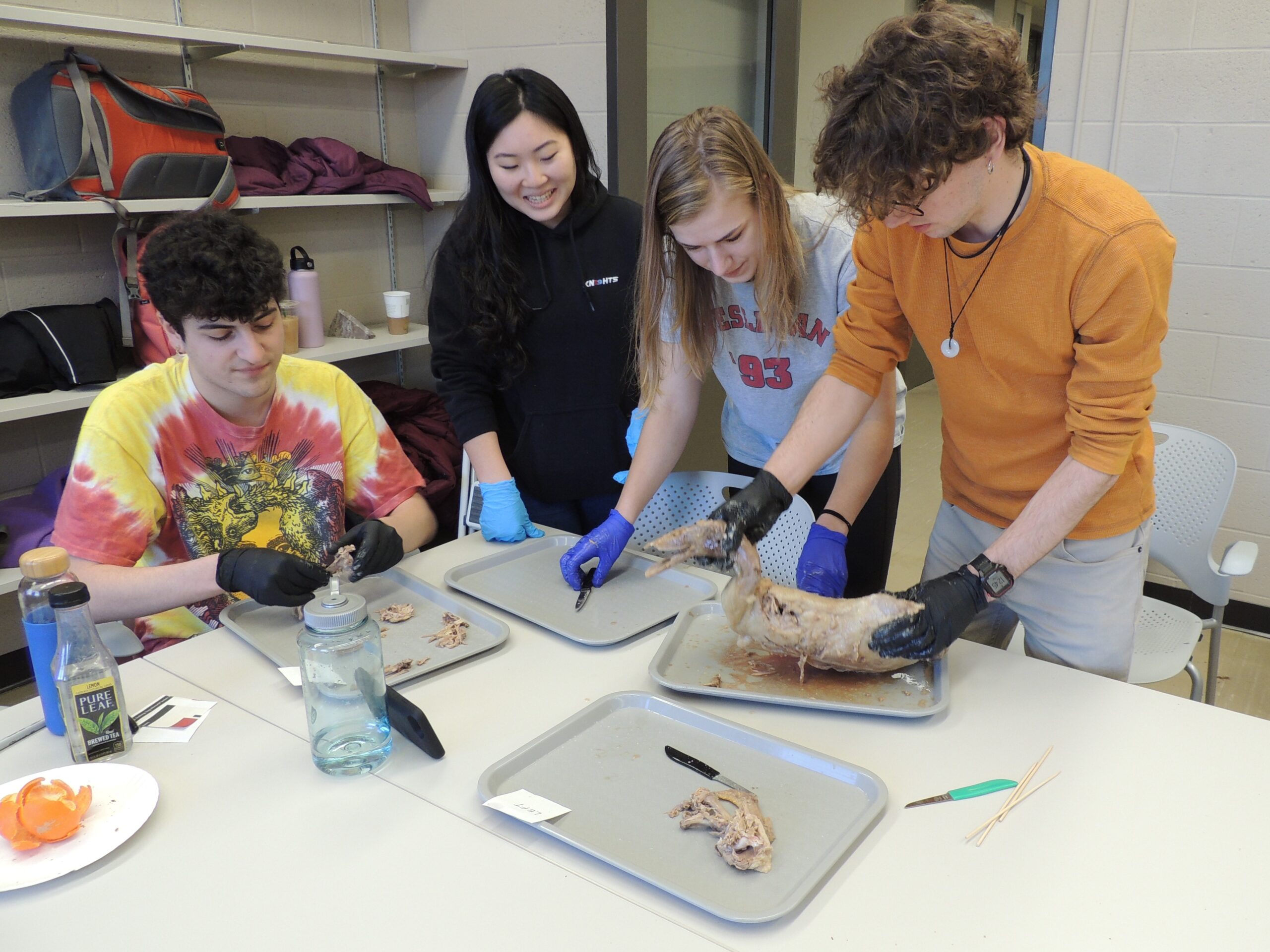 Photograph of four students working together to take the flesh off of a duck