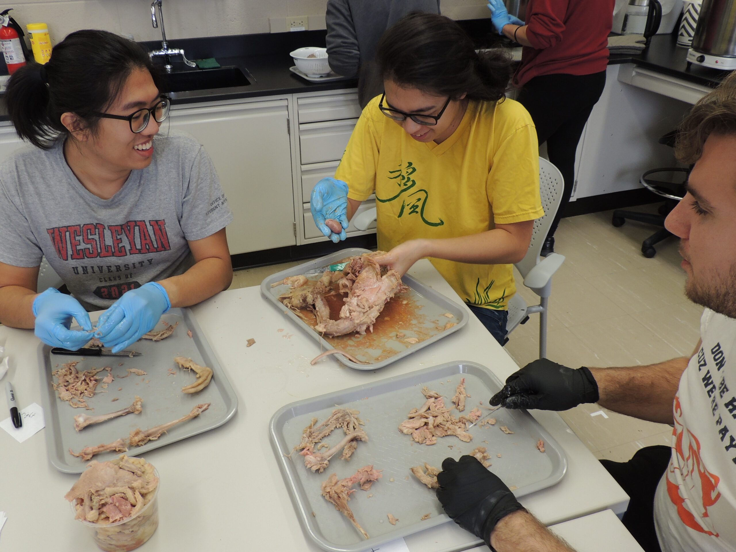 Photograph of three students cleaning a duck