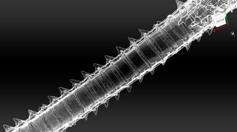 Screenshot of sharktooth sword scan in x-ray view